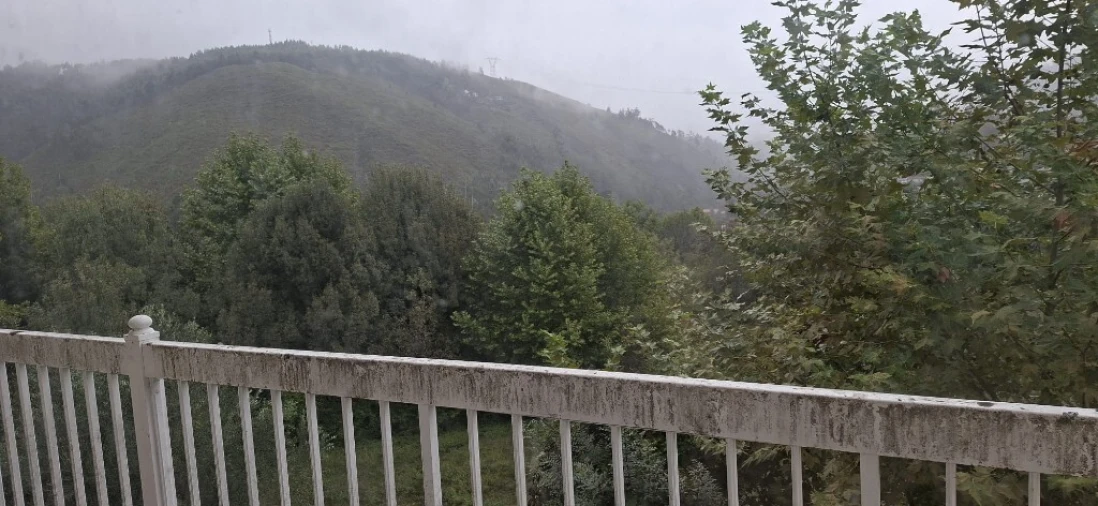 Loja para Arrendamento em Moimenta Foto 6