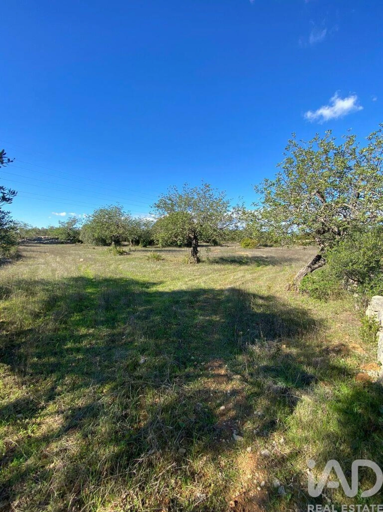 Terreno para Venda em São Brás de Alportel Foto 1