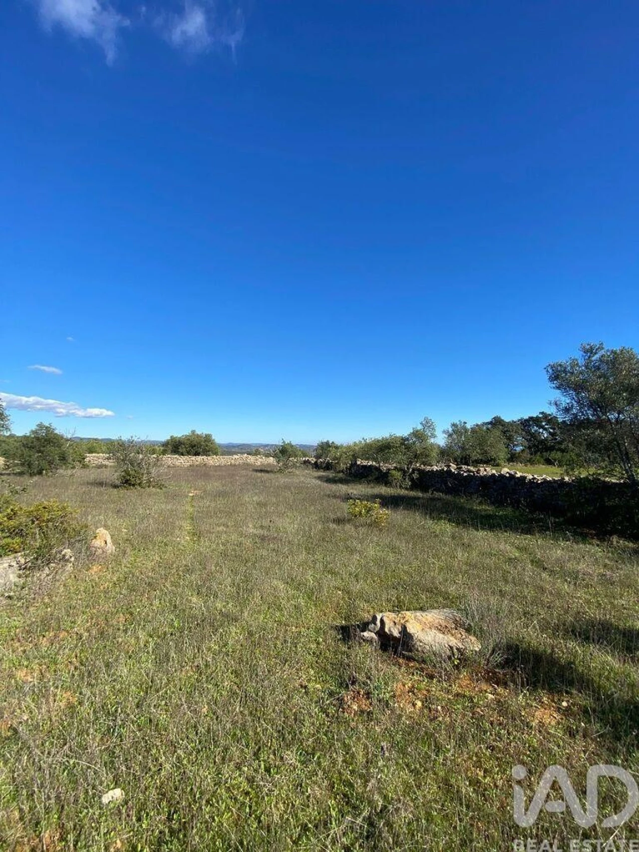 Terreno para Venda em São Brás de Alportel Foto 10