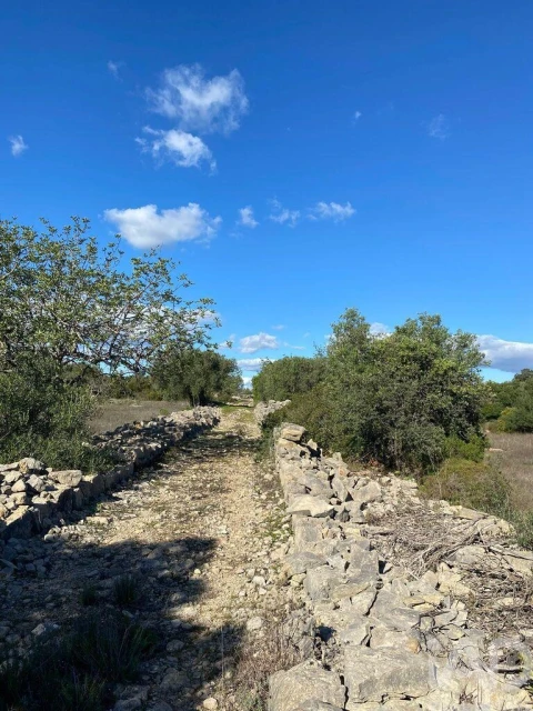 Terreno para Venda em São Brás de Alportel