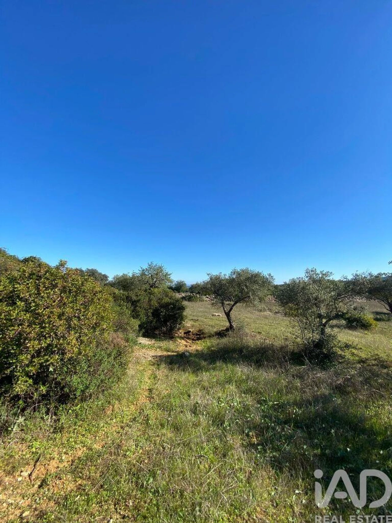 Terreno para Venda em São Brás de Alportel Foto 12