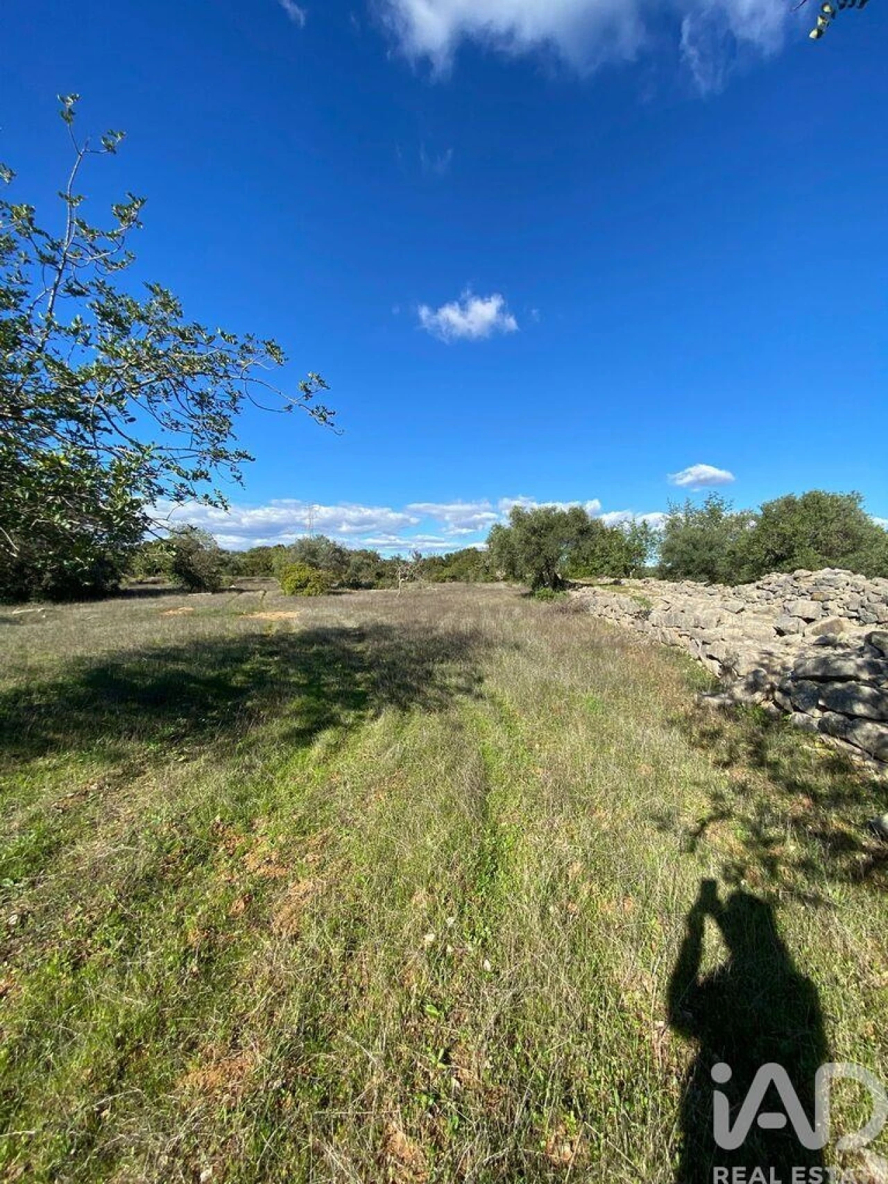 Terreno para Venda em São Brás de Alportel Foto 14