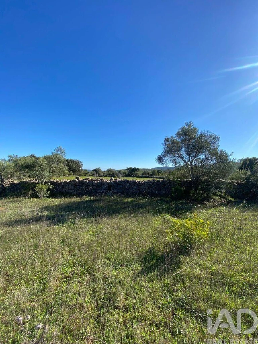 Terreno para Venda em São Brás de Alportel Foto 9