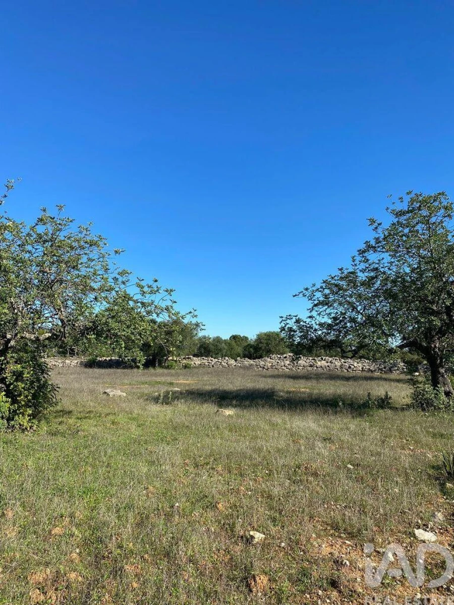Terreno para Venda em São Brás de Alportel Foto 5