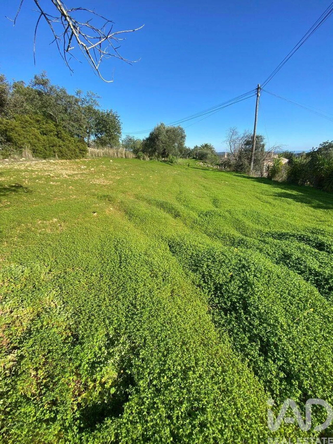 Terreno para Venda em São Brás de Alportel Foto 10