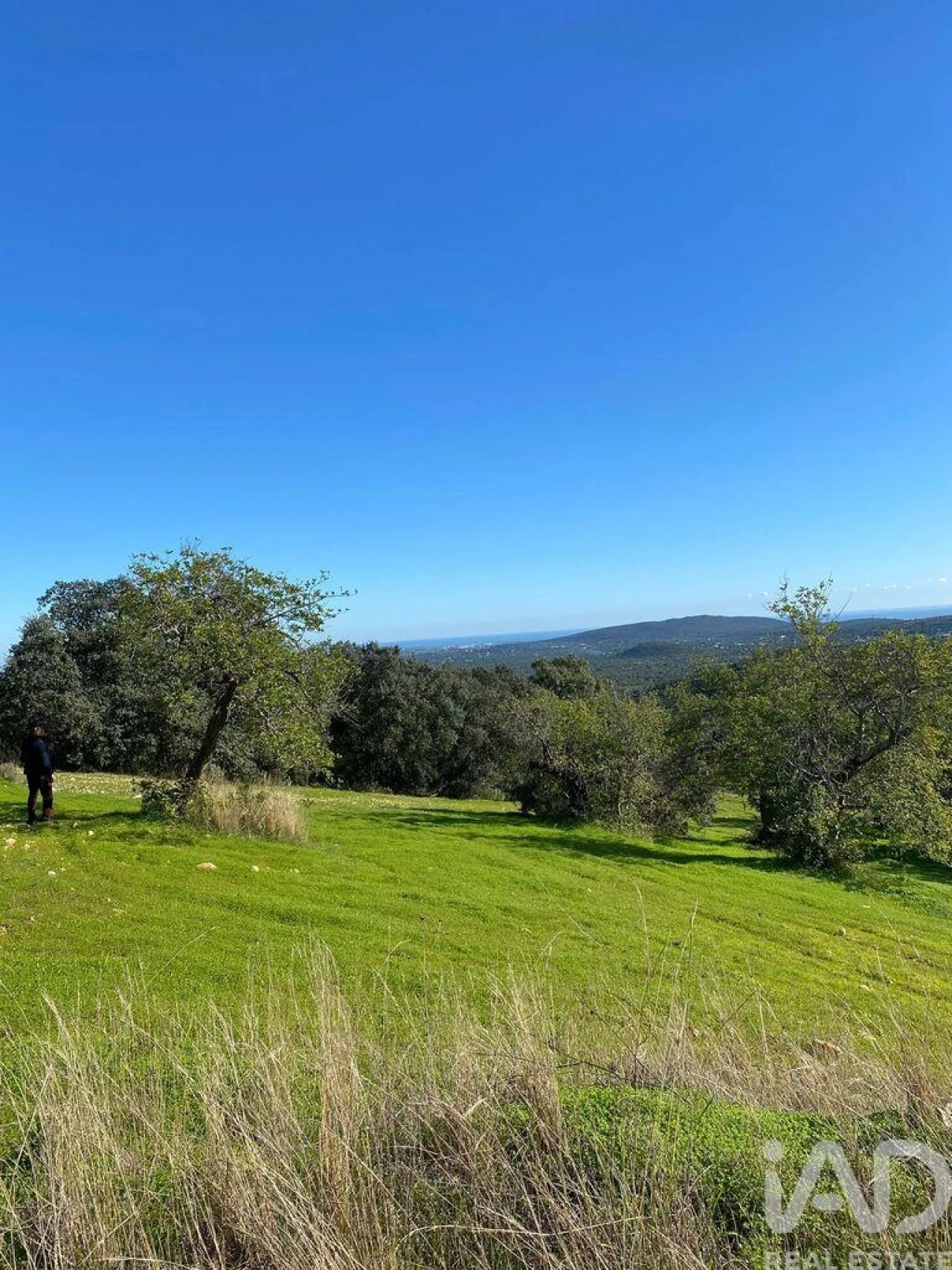 Terreno para Venda em São Brás de Alportel Foto 6