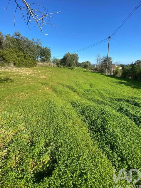 Terreno para Venda em São Brás de Alportel