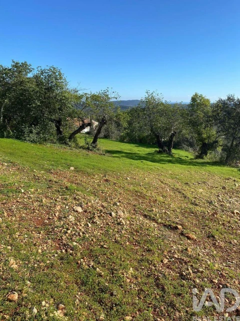 Terreno para Venda em São Brás de Alportel