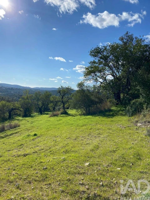 Terreno para Venda em São Brás de Alportel