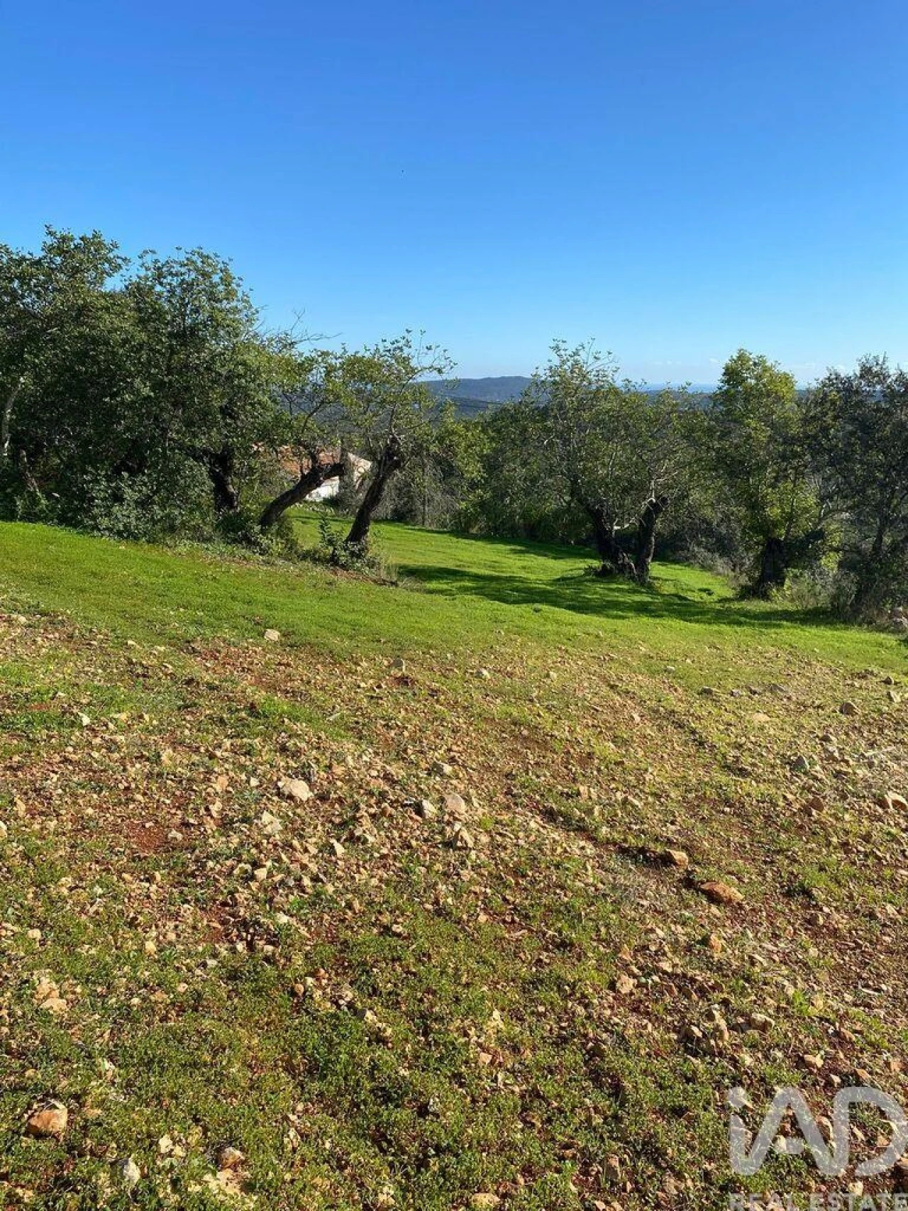 Terreno para Venda em São Brás de Alportel Foto 9