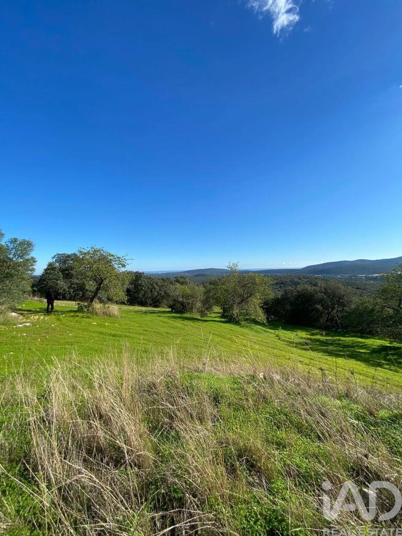 Terreno para Venda em São Brás de Alportel Foto 5