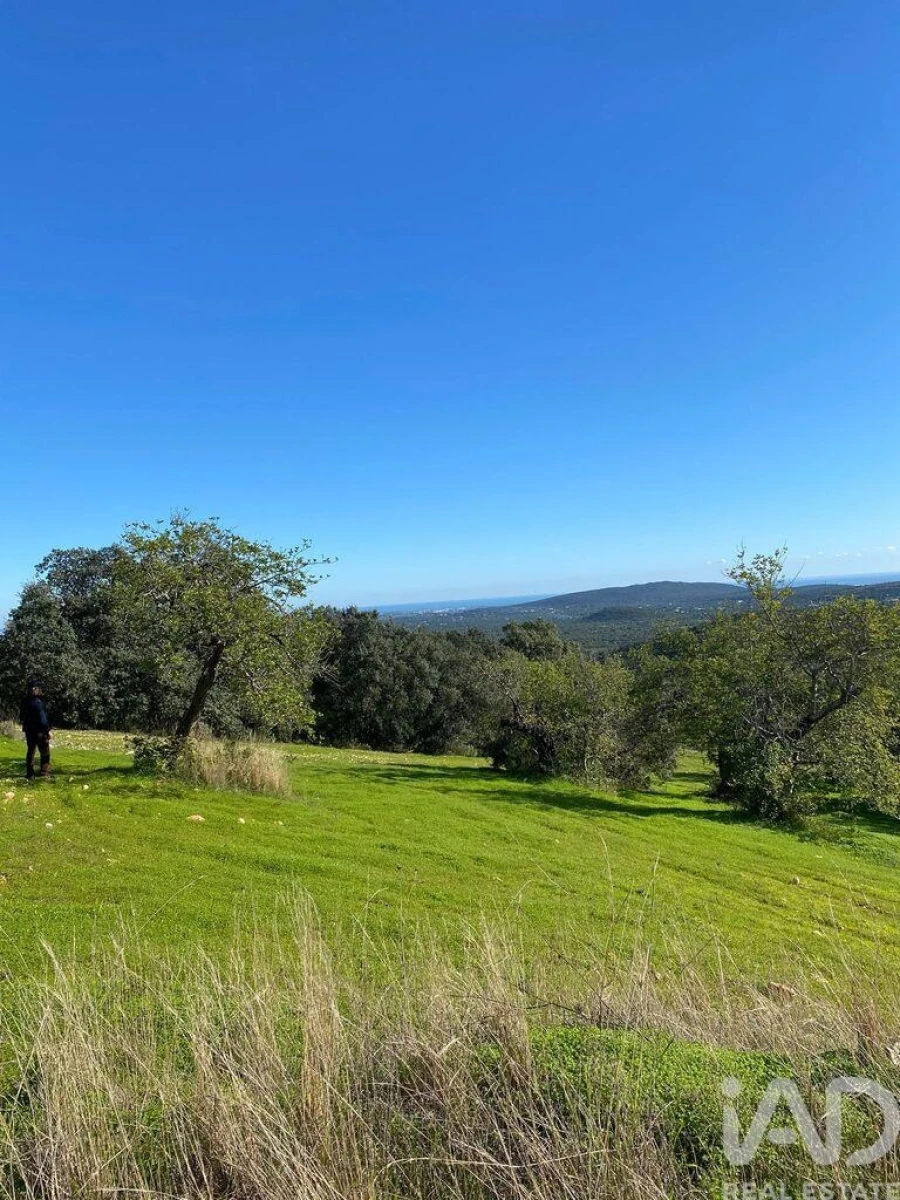 Terreno para Venda em São Brás de Alportel Foto 6