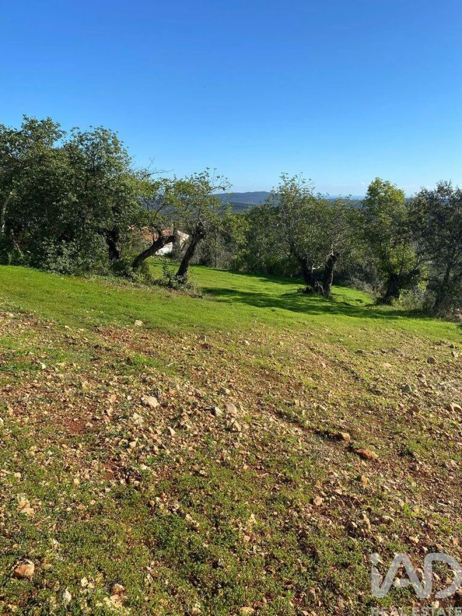 Terreno para Venda em São Brás de Alportel Foto 9