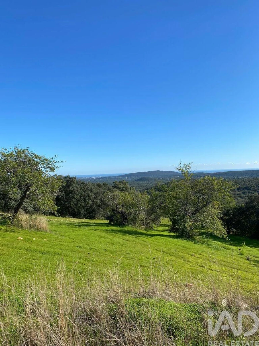 Terreno para Venda em São Brás de Alportel Foto 7