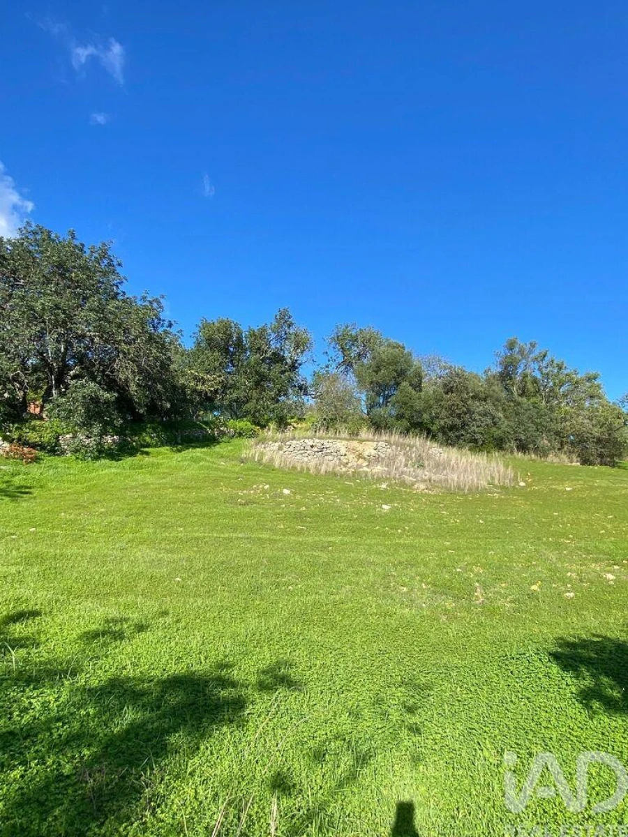 Terreno para Venda em São Brás de Alportel Foto 8