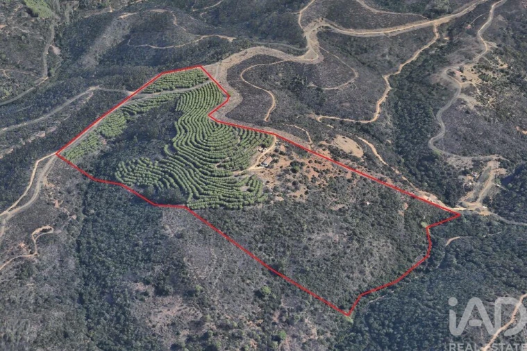 Moradia T3 para Venda em Bensafrim e Barão de São João Foto 29