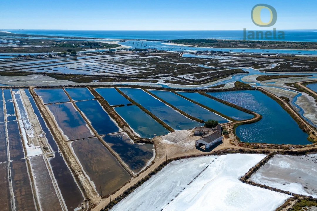 Quinta T3 para Venda em Tavira (Santa Maria e Santiago) Foto 4