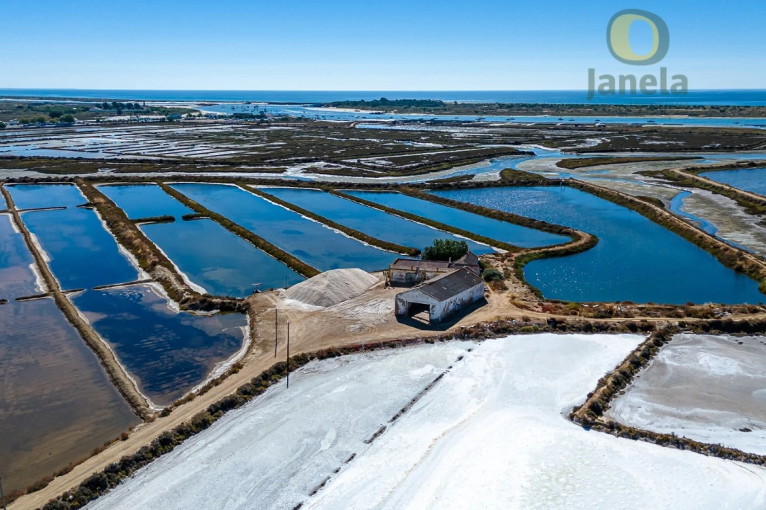 Quinta T3 para Venda em Tavira (Santa Maria e Santiago) Foto 5