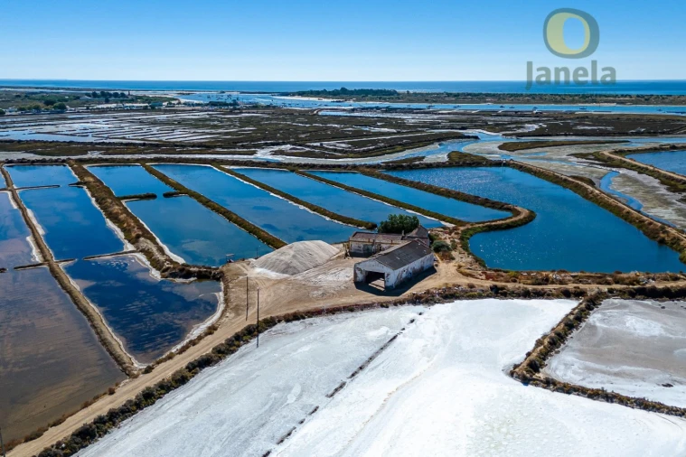 Quinta T3 para Venda em Tavira (Santa Maria e Santiago) Foto 5