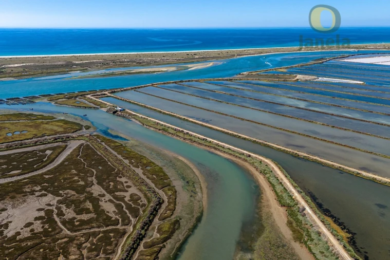 Quinta T3 para Venda em Tavira (Santa Maria e Santiago) Foto 6