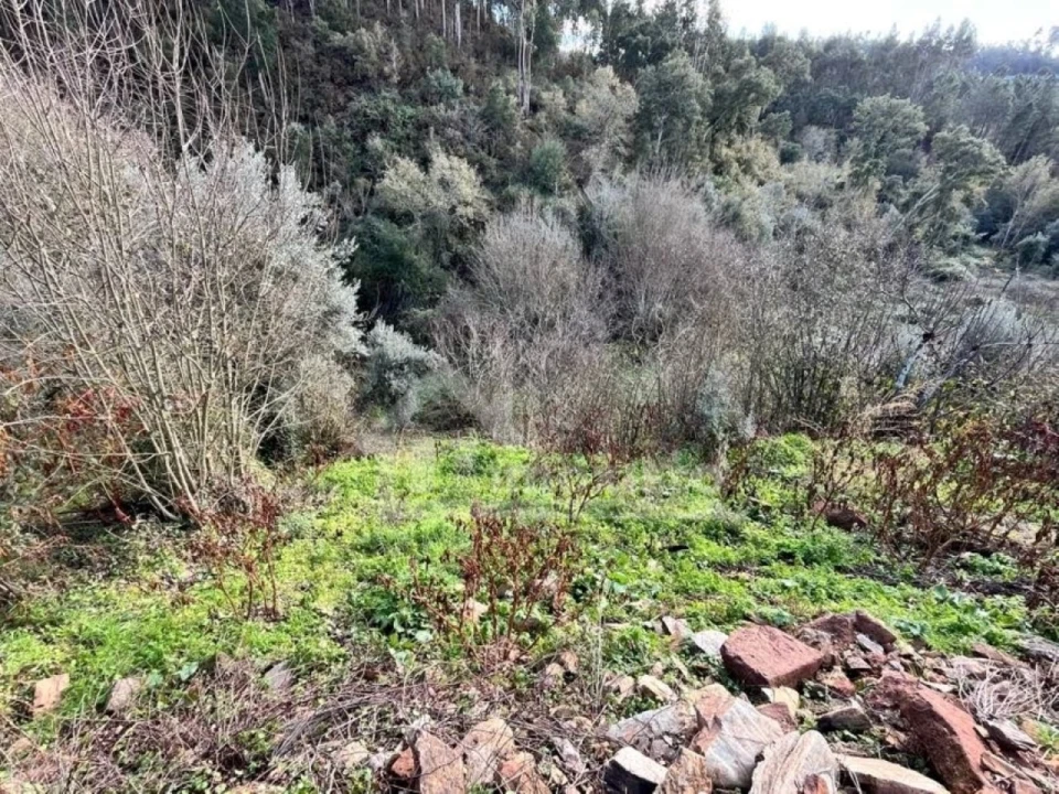 Quinta T1 para Venda em Maçãs de D. Maria Foto 8