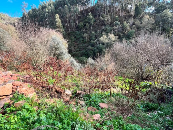 Quinta T1 para Venda em Maçãs de D. Maria Foto 2