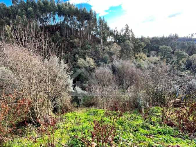 Quinta T1 para Venda em Maçãs de D. Maria Foto 9