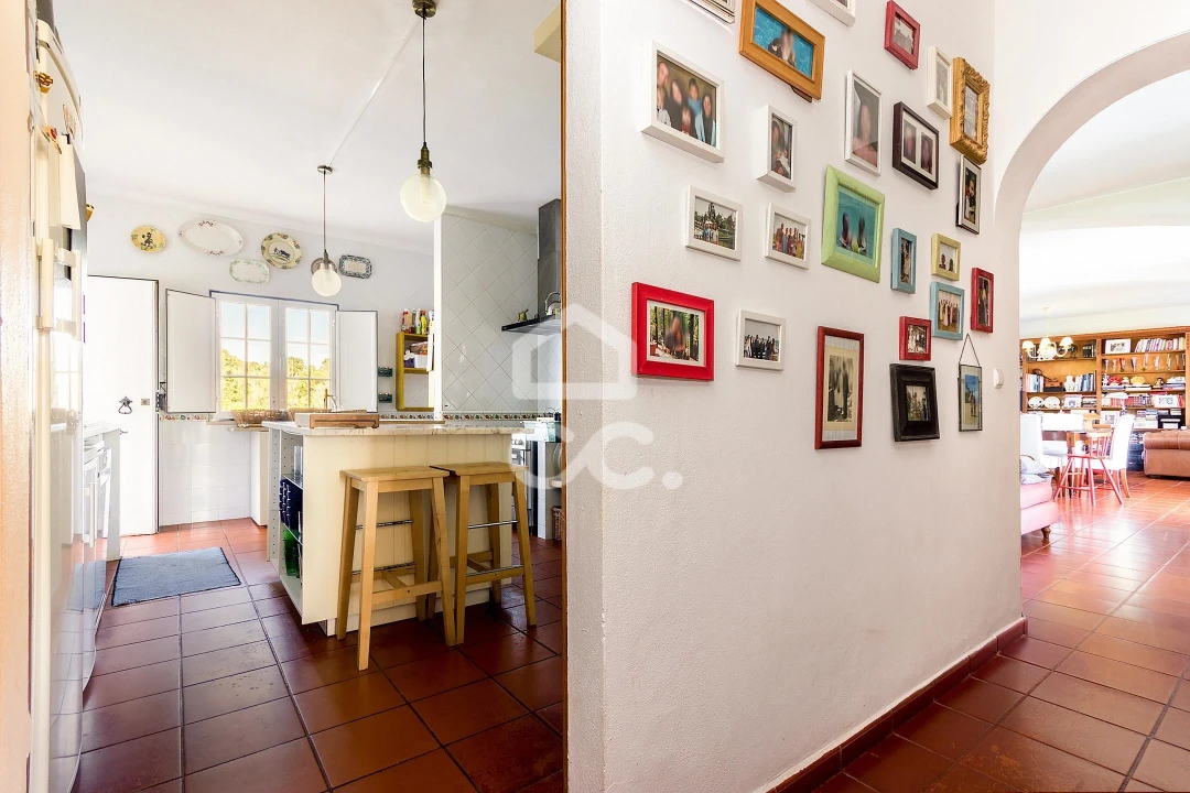 Quinta T6 para Venda em Santiago do Escoural Foto 12