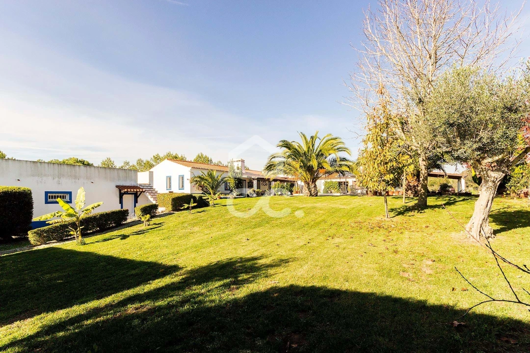 Quinta T6 para Venda em Santiago do Escoural Foto 59