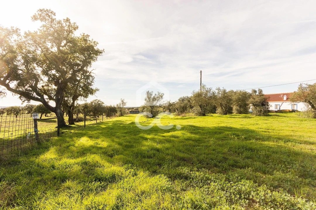 Quinta T6 para Venda em Santiago do Escoural Foto 70