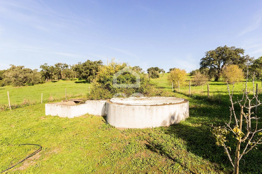 Quinta T6 para Venda em Santiago do Escoural Foto 65