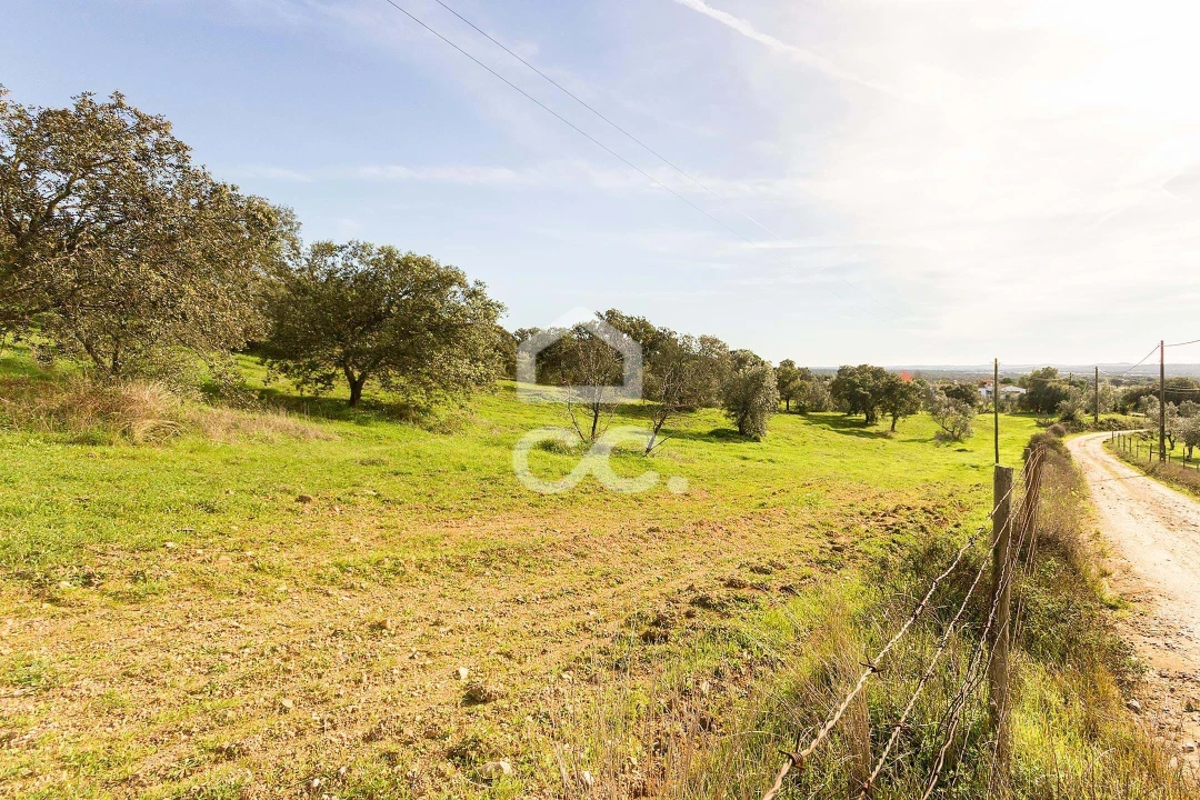 Quinta T6 para Venda em Santiago do Escoural Foto 78