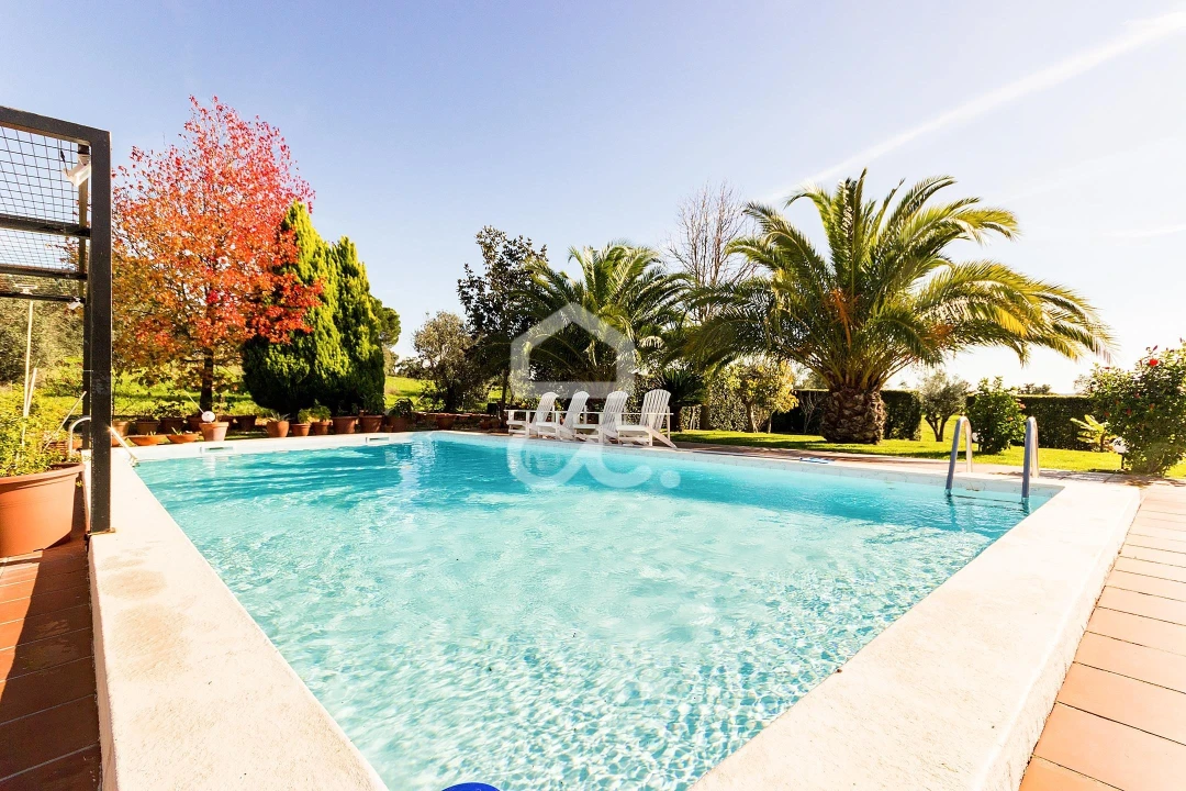 Quinta T6 para Venda em Santiago do Escoural Foto 33