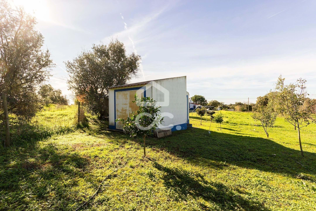 Quinta T6 para Venda em Santiago do Escoural Foto 64