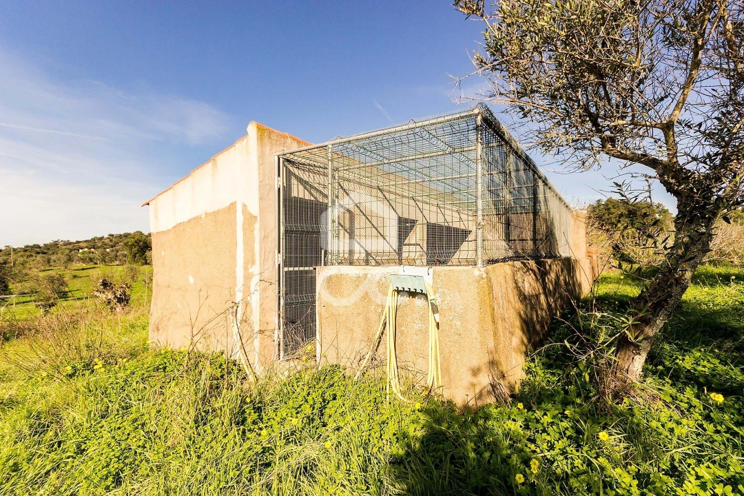 Quinta T6 para Venda em Santiago do Escoural Foto 69