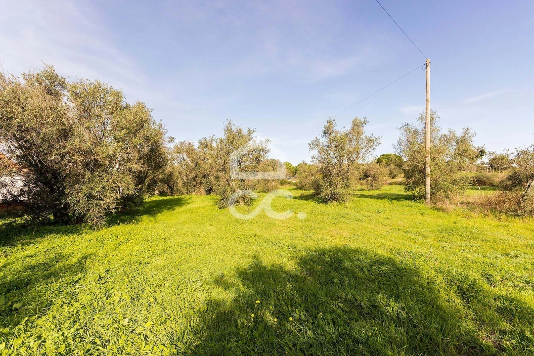 Quinta T6 para Venda em Santiago do Escoural Foto 73