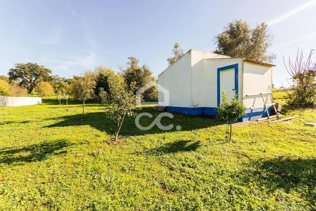 Quinta T6 para Venda em Santiago do Escoural Foto 62