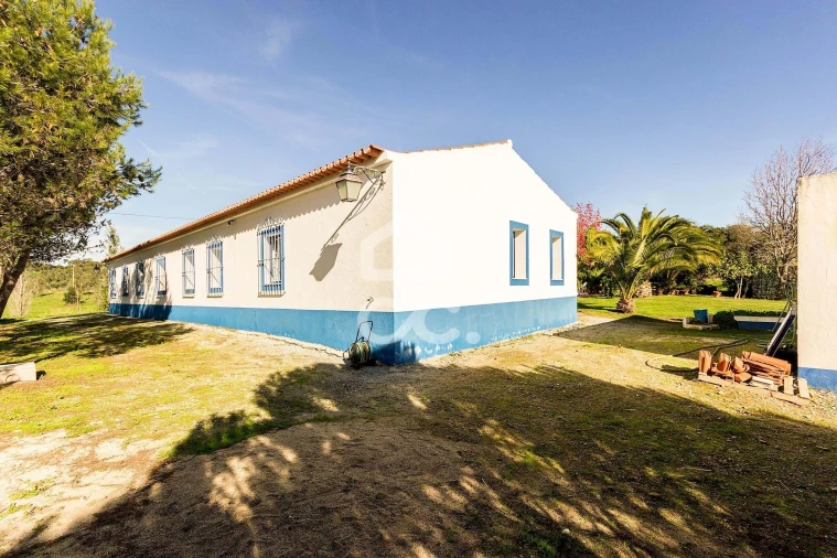 Quinta T6 para Venda em Santiago do Escoural Foto 48