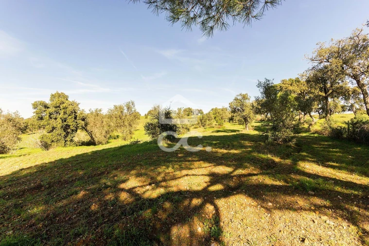 Quinta T6 para Venda em Santiago do Escoural Foto 75