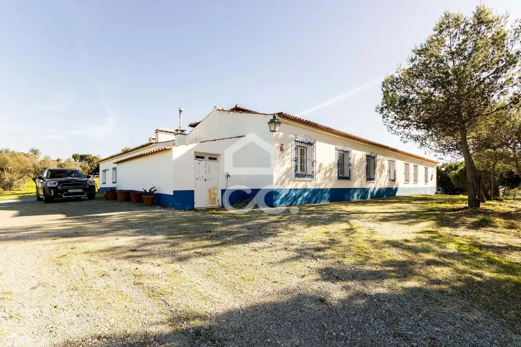 Quinta T6 para Venda em Santiago do Escoural Foto 84