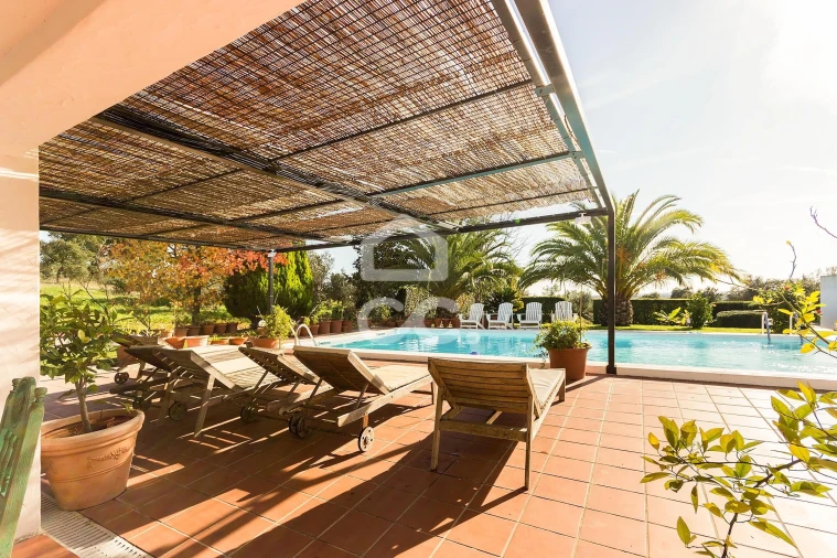 Quinta T6 para Venda em Santiago do Escoural Foto 2