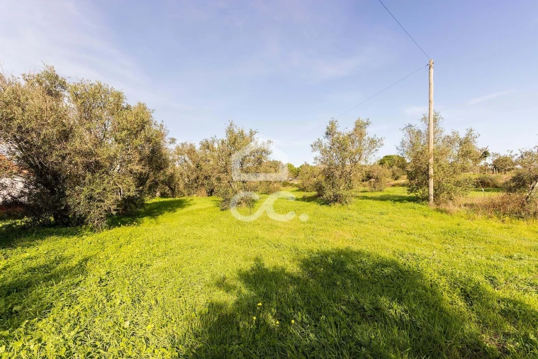 Quinta T6 para Venda em Santiago do Escoural Foto 73