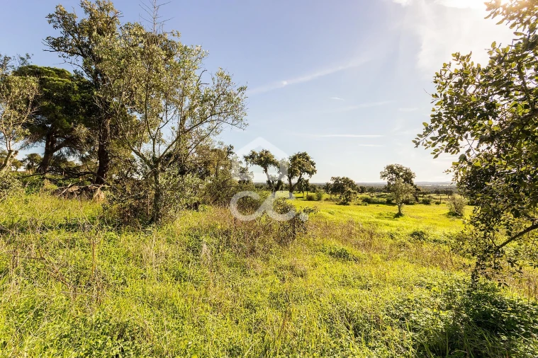 Quinta T6 para Venda em Santiago do Escoural Foto 72