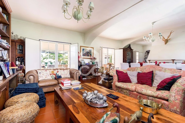 Quinta T6 para Venda em Santiago do Escoural Foto 4