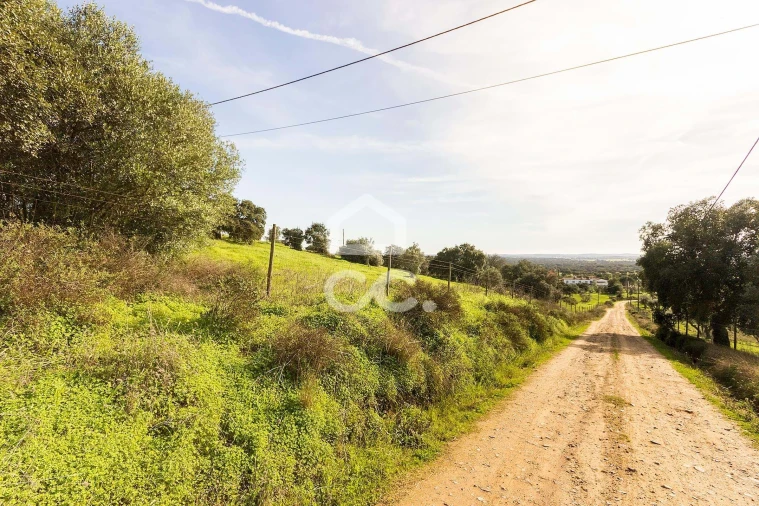 Quinta T6 para Venda em Santiago do Escoural Foto 74