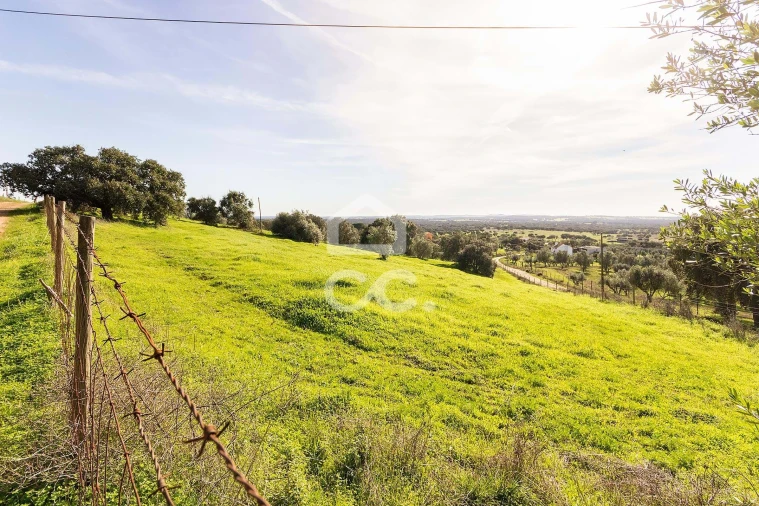 Quinta T6 para Venda em Santiago do Escoural Foto 76