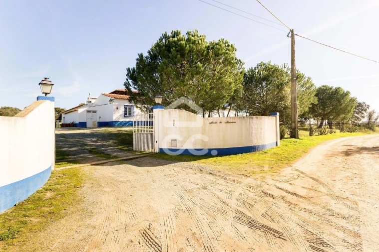 Quinta T6 para Venda em Santiago do Escoural Foto 80