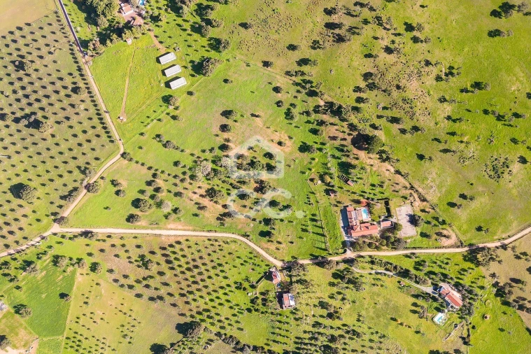 Quinta T6 para Venda em Santiago do Escoural Foto 90