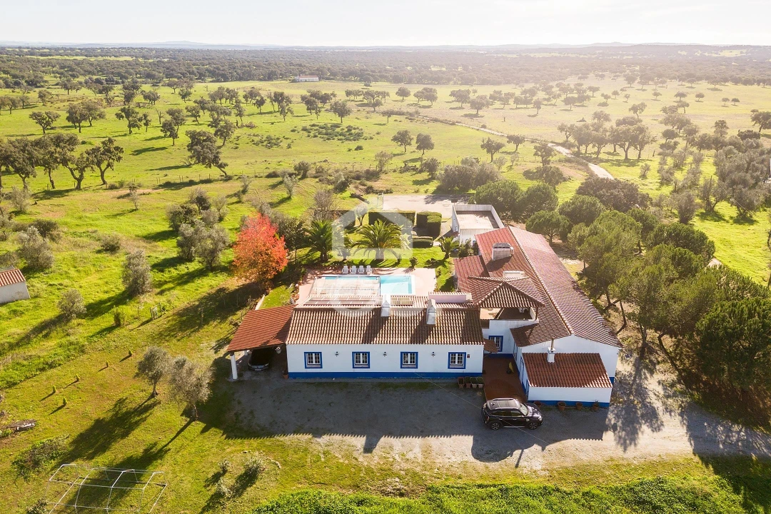 Quinta T6 para Venda em Santiago do Escoural Foto 56