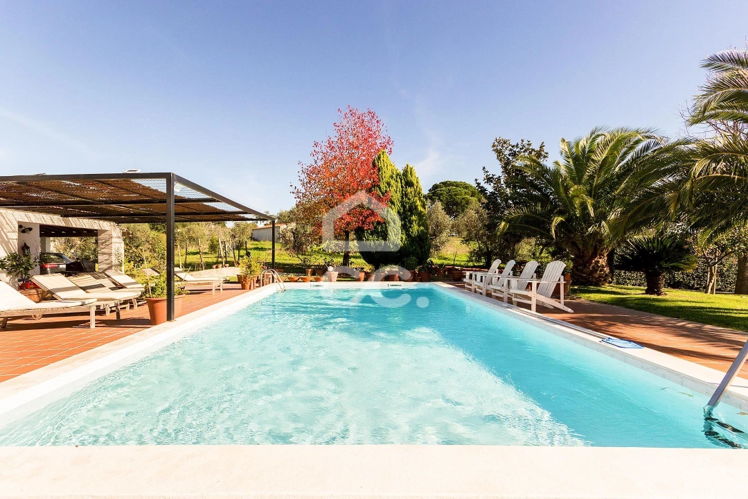 Quinta T6 para Venda em Santiago do Escoural Foto 3